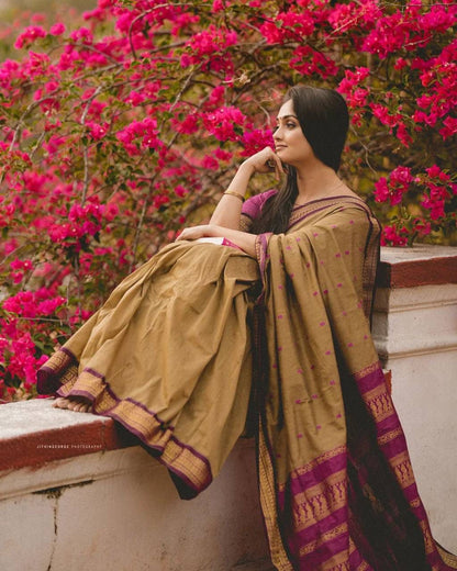 Banarasi soft silk saree