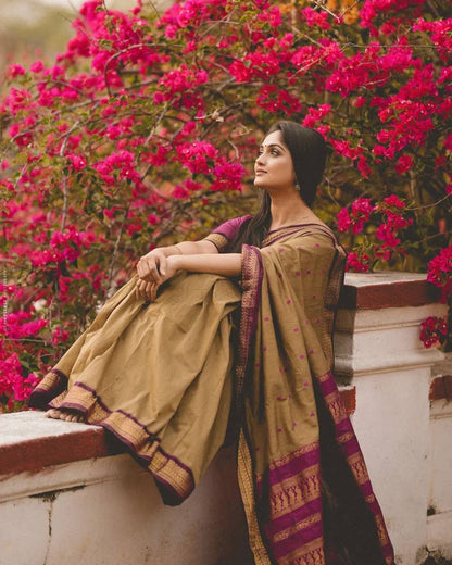 Banarasi soft silk saree