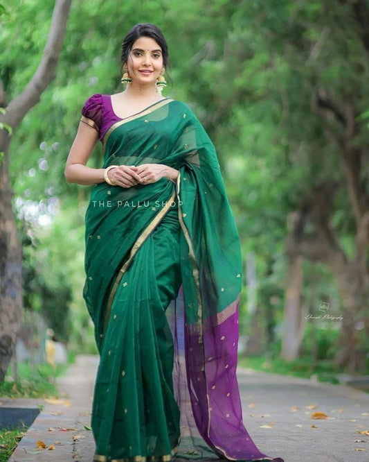 New lilan salb saree