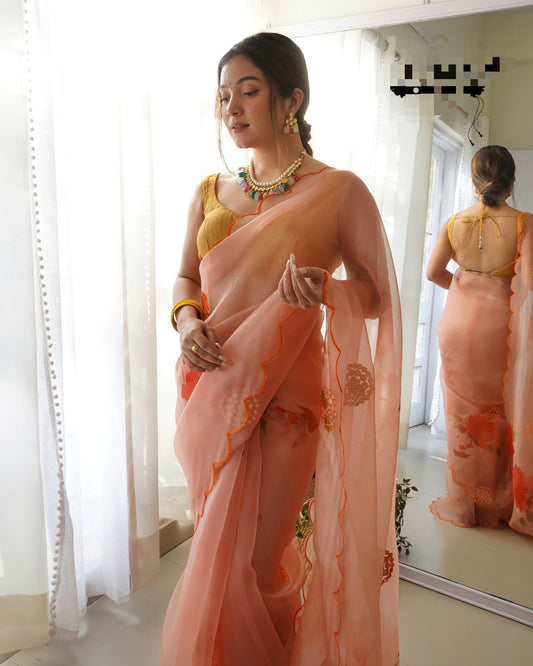 Soft pure organza saree