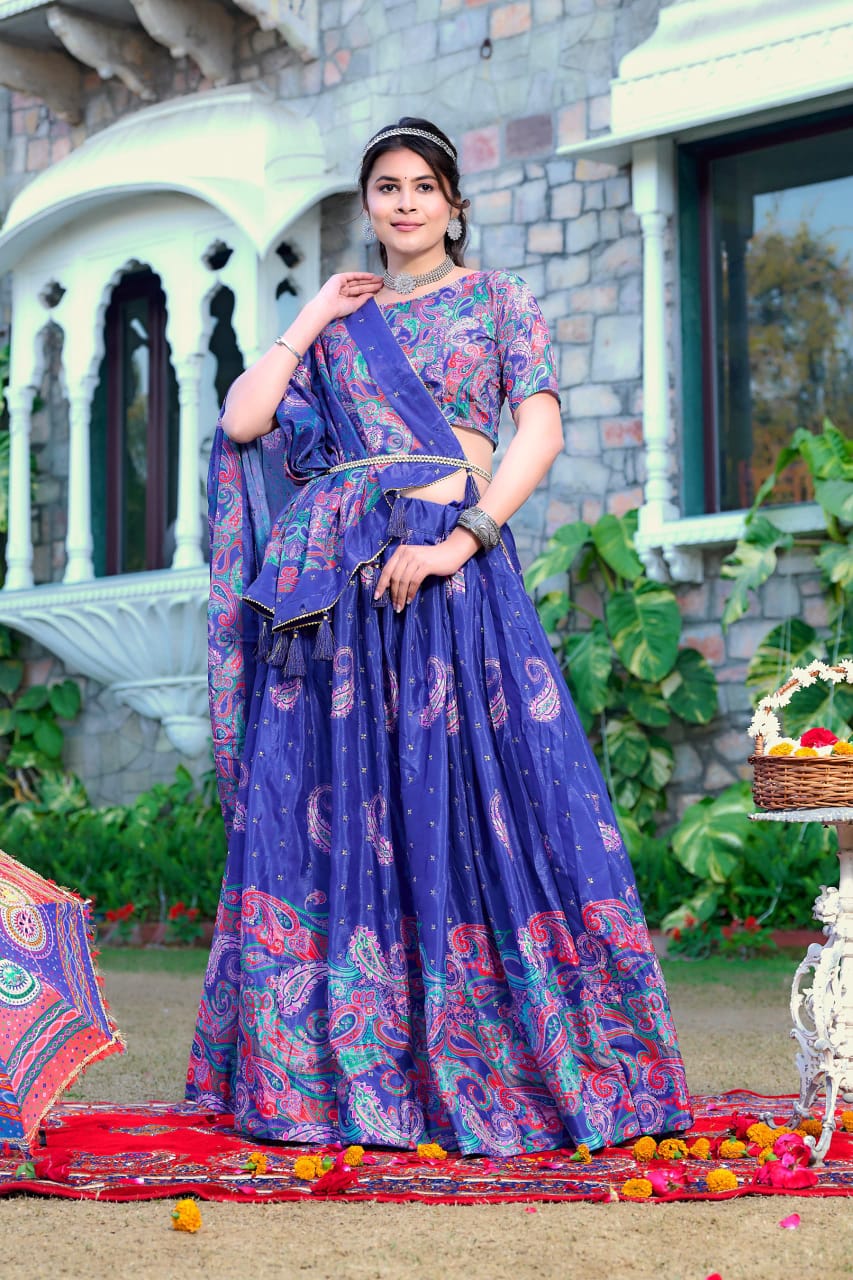 Chinnon lehenga choli