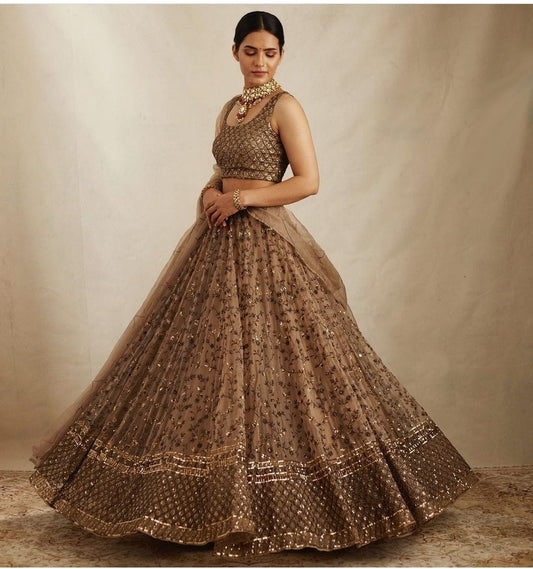 Heavy sequins lehenga choli